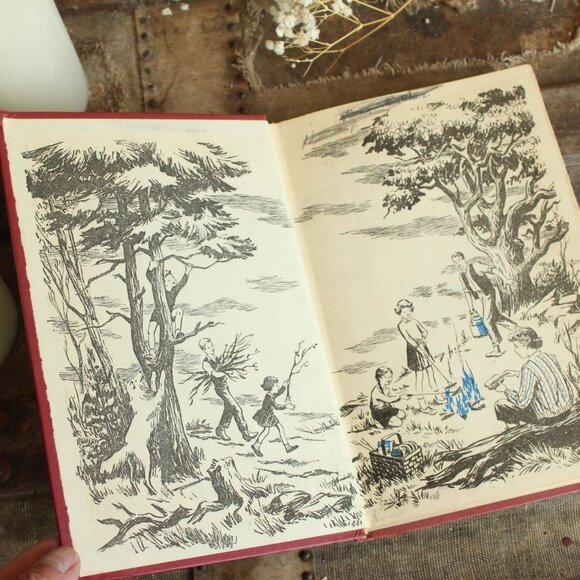 Vintage 1950s Book,  The Happy Hollisters and the Old Clipper Ship by Jerry West - Picture 6 of 10